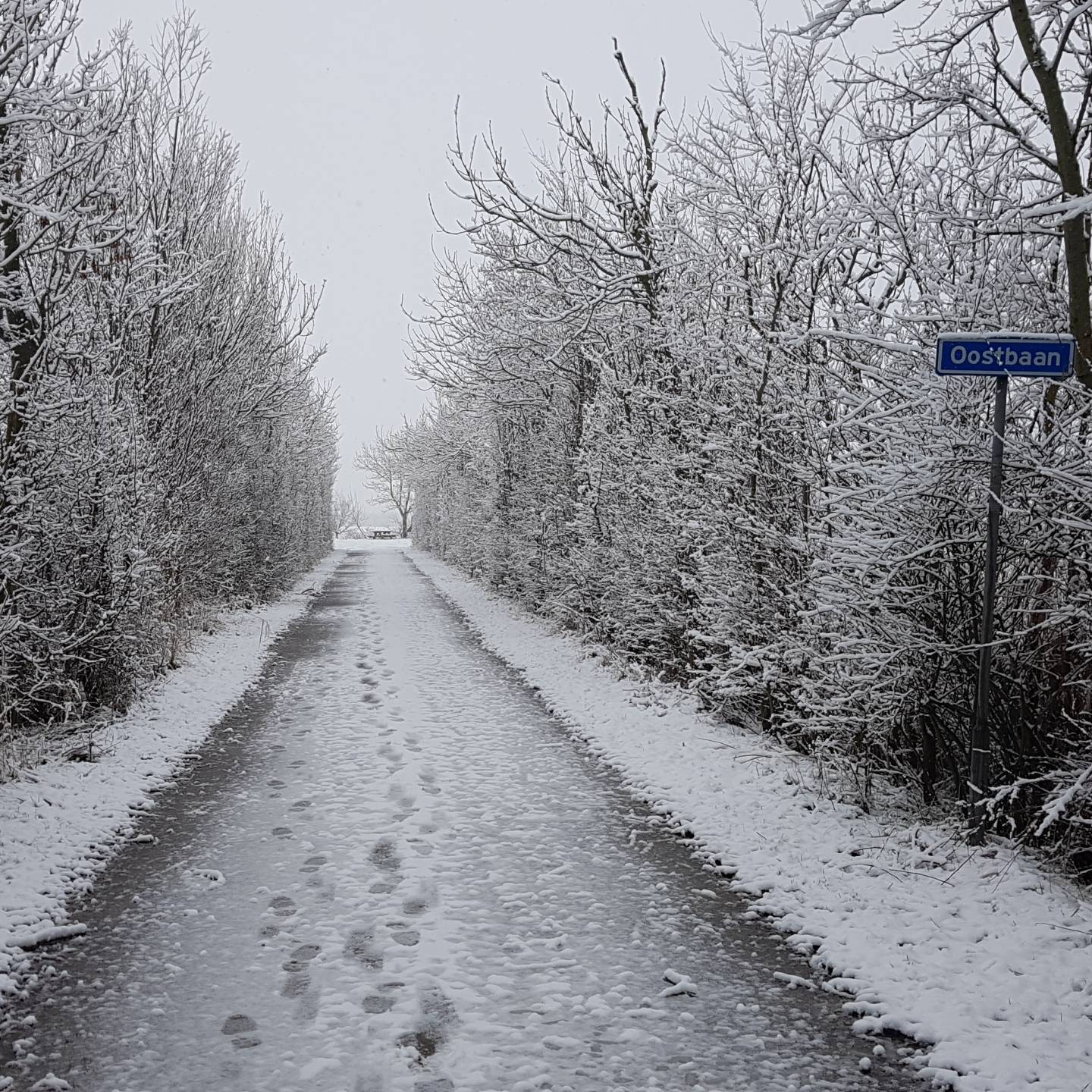 winterkamperen Zoutelande